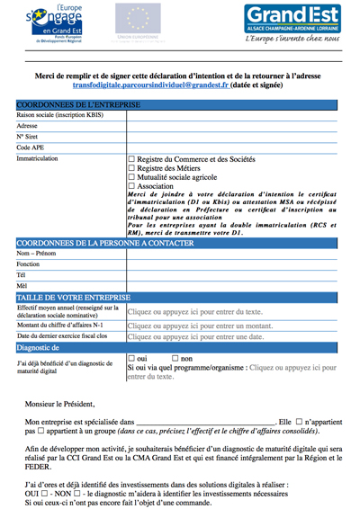 Grand-Est-Declaration-d-intention-transfodigitale-parcours-individuel